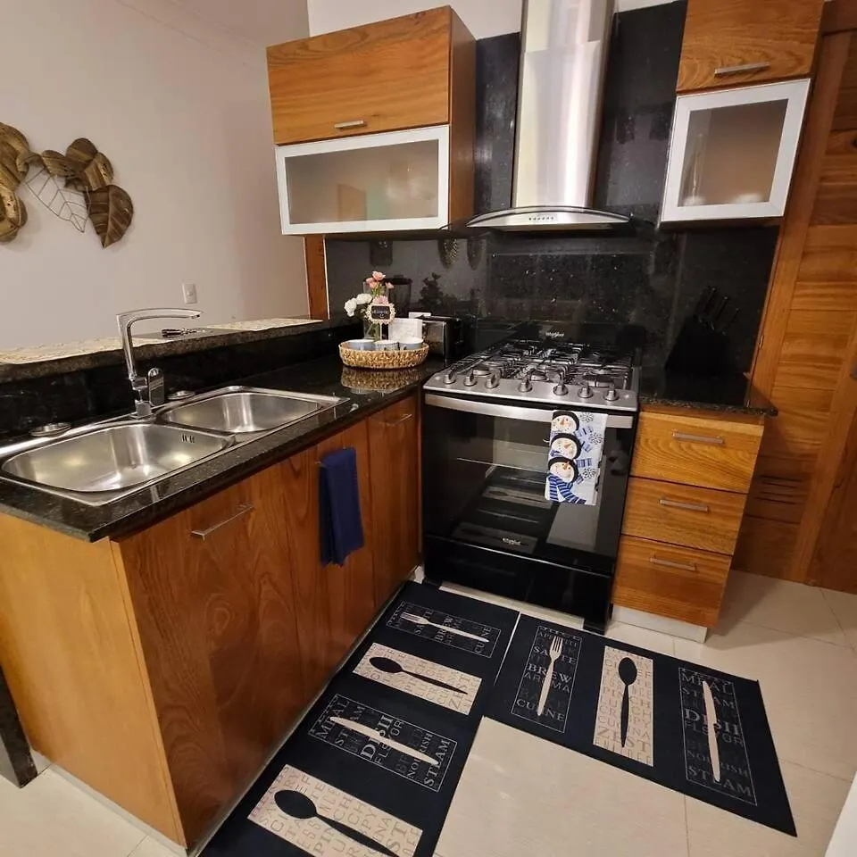Appartamento Suitedeluxe 1 Bdr Ocean View, Pool, Saune, Gym Apt I 14 Santo Domingo